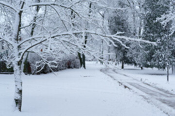 Park path on a snowy day in a snowfall