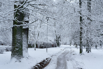 Park path on a snowy day in a snowfall