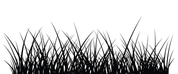 Grass vector illustration. Grass blades silhouette design. Black and white nature element isolated on white background.