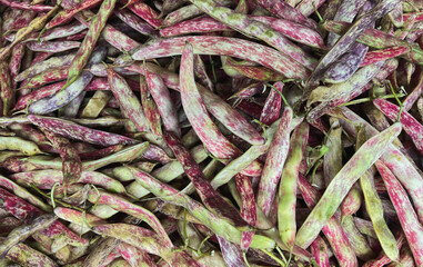 Abundant beans for sale in the market – Pods