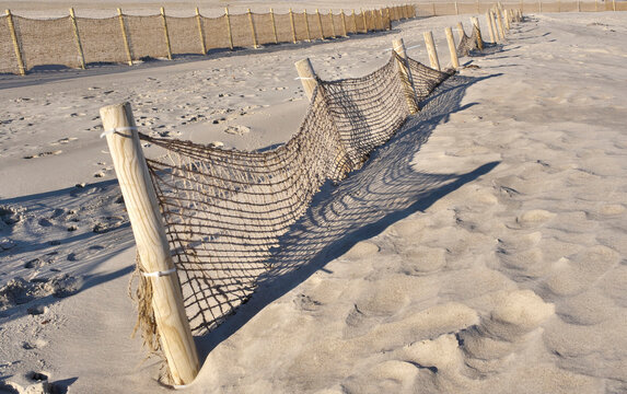 Schutznetze gegen Sandverwehungen am Strand .