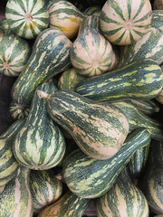 Colorful baby pumpkins at the market