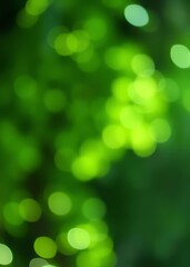 Fototapeta premium Blur green background with bokeh light bokeh green bokeh green abstract background light bright blur pattern