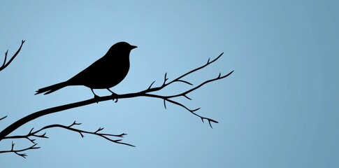 Silhouette Bird Perched On A Bare Branch Against A Blue Sky