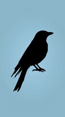 Obraz premium Black Bird Silhouette Against Light Blue Background