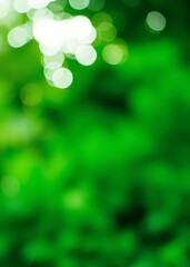 Fototapeta premium Natural green blurred abstract for background bokeh green bokeh green abstract background light bright blur pattern