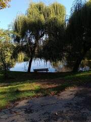 Park z ławką © Klaudia