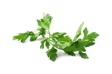 Sprig of fresh parsley isolated on white