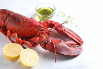 Delicious boiled lobster with oil, microgreens and lemon pieces on white table, closeup