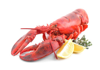 Tasty boiled lobster, lemon and thyme isolated on white