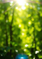 Fototapeta premium Green bio background abstract blurred foliage bright sunlight organic design nature abstract background with copyspace for text advertising design green abstract light background and bokeh effect boke