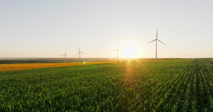 Aerial view of towering wind turbines scattered across lush green and golden farmland. Blades rotate, generating clean energy while blending with picturesque countryside scenery under warm sunlight.