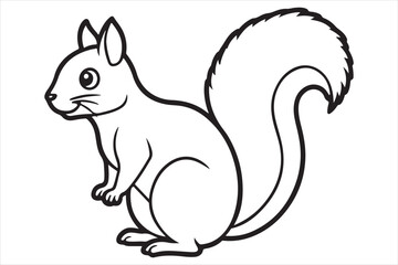 Squirrel vector on white background