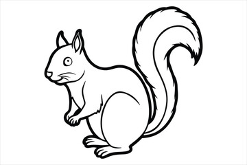 Squirrel vector on white background