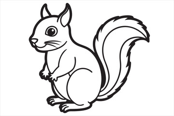 Squirrel vector on white background