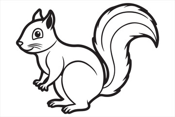 Squirrel vector on white background
