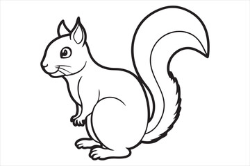 Squirrel vector on white background