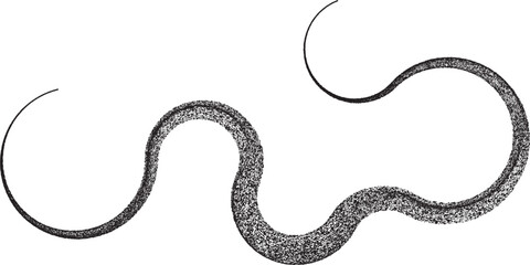 Decorative swirl of line. Roughen curved lines .Abstract flow linear fluid shapes .Curly design element. Music sound wave . Swirl calligraphic flourish divider ornament design. Curve lines Vector