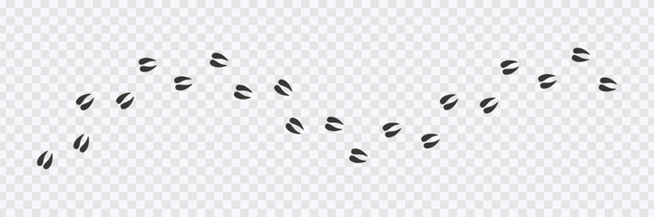 Animal footpath trail vector illustration 