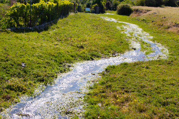 arroyo en primavera tras la lluvias.