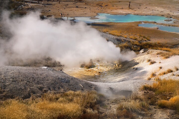 Yellowstone national park USA