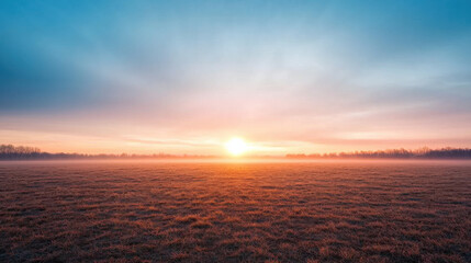 Fototapeta premium Sun in Natural Phenomena Theme, foggy morning with sun rising over grassy field, creating serene atmosphere