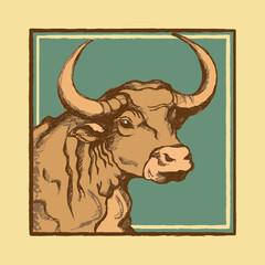 Bull, cow, taurus portrait. Sketch, engraving, rough outline. Vector illustration
