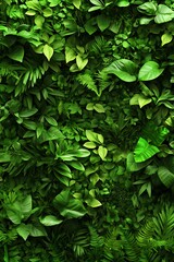 High-Definition Aircraft Aerial Photography