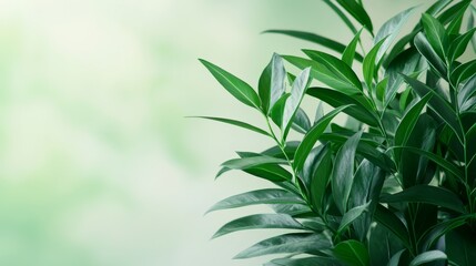 Obraz premium Vibrant Green Leaves on Soft Background Representing Renewable Energy and Sustainability