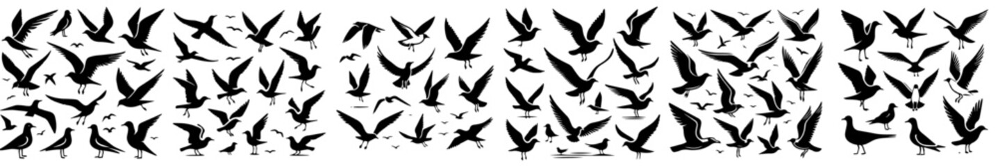 Obraz premium set vector silhouette fly bird