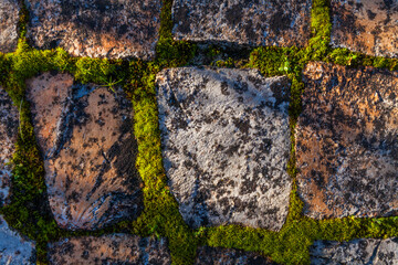 A close-up shot of weathered stone pavement tiles, with vibrant green moss growing thickly in the gaps, creating a textural contrast and a sense of age and natural integration