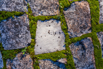 A close-up shot of weathered stone pavement tiles, with vibrant green moss growing thickly in the gaps, creating a textural contrast and a sense of age and natural integration