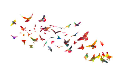 A flock of colored birds. hand drawing. Not AI. Vector illustration