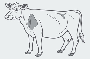 Professional cow vector for creating selling posters in the agricultural business
