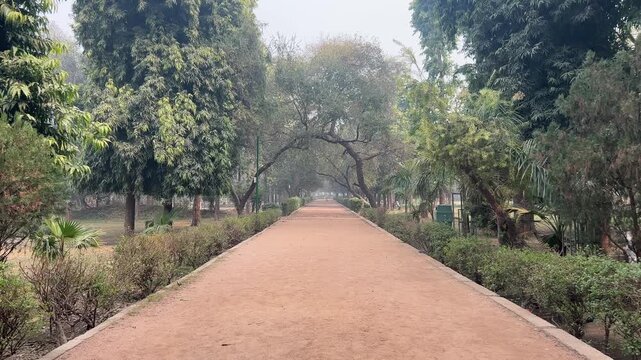 Alley between green trees and fallen leaves in 
Picnic Hut parkin Ashok Vihar, Delhi