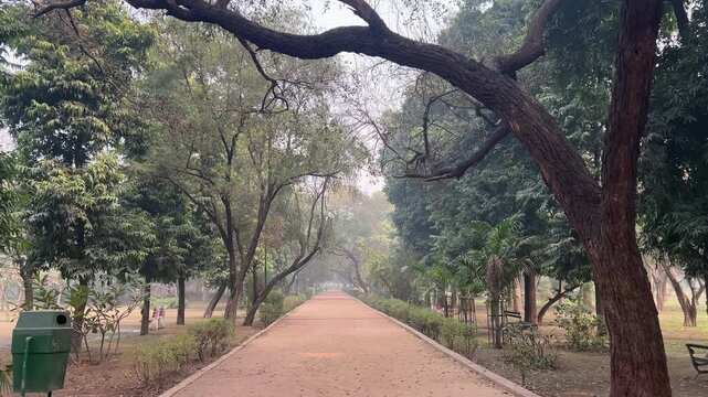 Alley between green trees and fallen leaves in 
Picnic Hut parkin Ashok Vihar, Delhi