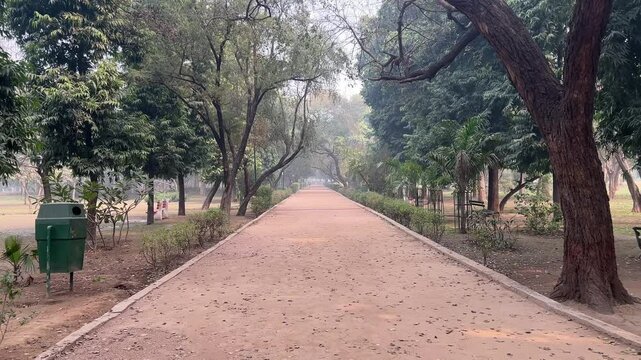 Alley between green trees and fallen leaves in 
Picnic Hut parkin Ashok Vihar, Delhi