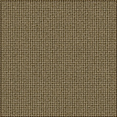 seamless pattern with dots wallpaper background