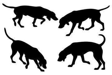 Dog Scent Tracking SVG Clipart Set – Bloodhound, GSP, and Dachshund Sniffing Silhouettes – Vector Art for Logos, Prints & Digital Designs on white background.