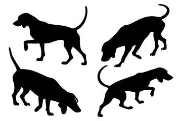 Dog Scent Tracking SVG Clipart Set – Bloodhound, GSP, and Dachshund Sniffing Silhouettes – Vector Art for Logos, Prints & Digital Designs on white background.