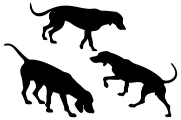 Dog Scent Tracking SVG Clipart Set – Bloodhound, GSP, and Dachshund Sniffing Silhouettes – Vector Art for Logos, Prints & Digital Designs on white background.