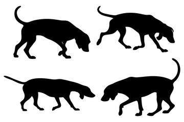 Dog Scent Tracking SVG Clipart Set – Bloodhound, GSP, and Dachshund Sniffing Silhouettes – Vector Art for Logos, Prints & Digital Designs on white background.
