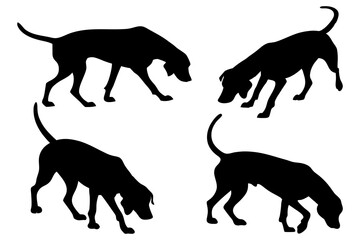 Dog Scent Tracking SVG Clipart Set – Bloodhound, GSP, and Dachshund Sniffing Silhouettes – Vector Art for Logos, Prints & Digital Designs on white background.