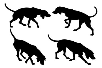 Dog Scent Tracking SVG Clipart Set – Bloodhound, GSP, and Dachshund Sniffing Silhouettes – Vector Art for Logos, Prints & Digital Designs on white background.