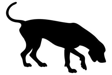Dog Scent Tracking SVG Clipart Set – Bloodhound, GSP, and Dachshund Sniffing Silhouettes – Vector Art for Logos, Prints & Digital Designs on white background.