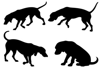 Dog Scent Tracking SVG Clipart Set – Bloodhound, GSP, and Dachshund Sniffing Silhouettes – Vector Art for Logos, Prints & Digital Designs on white background.