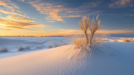 Golden hues wash over soft dunes as grasses sway gently in the evening breeze. The tranquil scene captures the beauty of nature, illuminated by the setting sun, inviting reflection