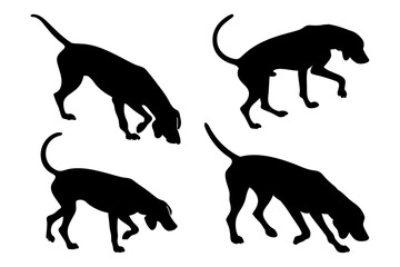 Dog Scent Tracking SVG Clipart Set – Bloodhound, GSP, and Dachshund Sniffing Silhouettes – Vector Art for Logos, Prints & Digital Designs on white background.