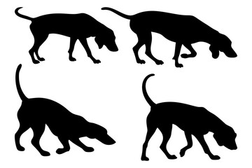 Dog Scent Tracking SVG Clipart Set – Bloodhound, GSP, and Dachshund Sniffing Silhouettes – Vector Art for Logos, Prints & Digital Designs on white background.