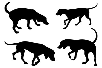 Dog Scent Tracking SVG Clipart Set – Bloodhound, GSP, and Dachshund Sniffing Silhouettes – Vector Art for Logos, Prints & Digital Designs on white background.